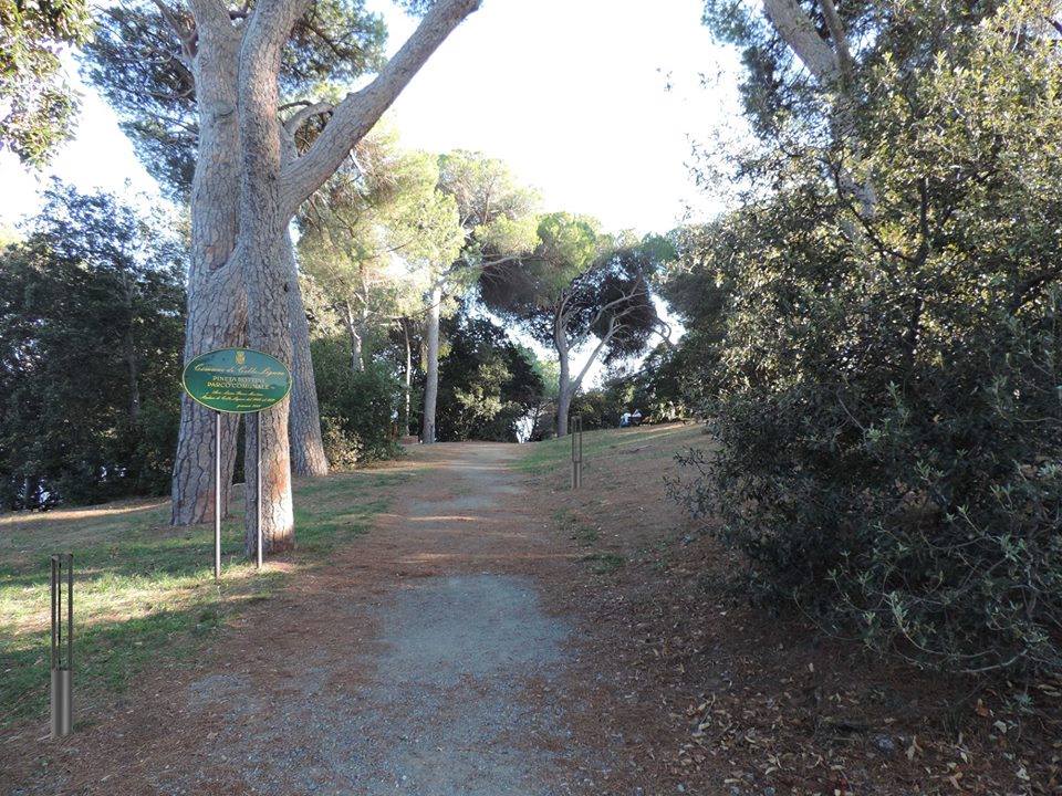 Pineta Bottini ingresso